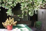 Alojamiento Mayam - Image 8