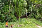 Photos of Pousada Ecoverde