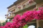 Villa Paradise - Image 1