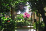 Villa Paradise - Image 9