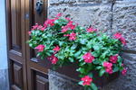 Biddanoa Bed and Breakfast - Image 2