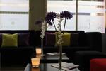 Hotel Horizonte - Image 8