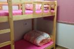 Photos of Solongos Backpackers