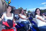 Moped City Maui bed - Image 8