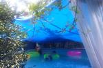 El Jardin Hostal - Image 2