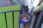 After Hostel - Image 9