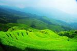 Dazhai Dragon's Den Hostel in Rice Terraces - Image 8