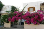 Artemis Apartments Chania - Image 3