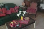 Pitchounette & Olives - Image 4