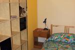 Luna Piena Apartment - Image 7
