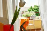 B&B Maricla - Image 4