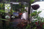 The Mousetrap Backpackers - Image 10