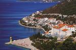 Photos of Stella - Neum