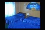 Photos of Hostal Geminis
