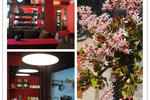 Flower Inn - Image 2