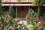 Sauraha Resort