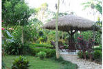 Sauraha Resort - Image 3