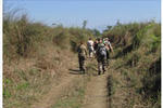 Sauraha Resort - Image 6