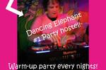 Dancing Elephant- Nanda - Image 3