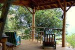 Crayfish Bay Organic Estate - Image 3