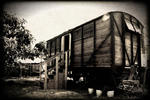 Galilee Bedouin Camplodge - Image 2