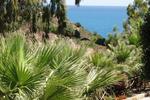 Villa Palme Cefalu Appartment - Image 7