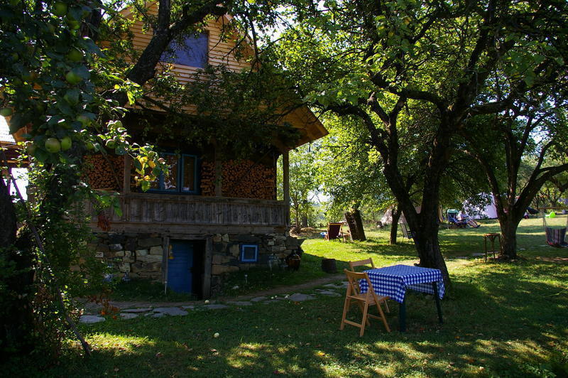 Babou Maramures  0