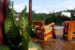 The Cosy Garden - Image 3