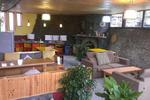 The Cosy Garden - Image 5