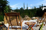 The Cosy Garden - Image 6