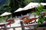 The Cosy Garden - Image 9