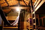 Pan and Circus - Image 3