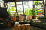 Photos of Fat Cat Backpackers