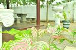 Ravana Ridge - Image 7