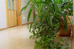 Photos of Bernardinu B&B House