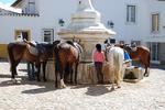Quinta de Santo Antonio - Image 2
