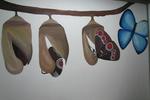 Hostel Shakti - Image 7