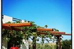 Living in the Sunshine - Image 3