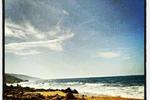 Living in the Sunshine - Image 4