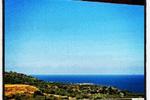 Living in the Sunshine - Image 6