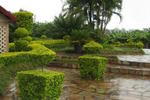 The Manor Guesthouse - Image 9