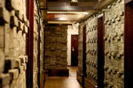Yangtze River International Youth Hostel - Image 7