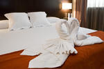 Hotel Zenit Pamplona - Image 3