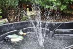 Bed and Breakfast U Heni Leba - Image 2