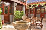 Three Legged Frog Hostel - Image 2