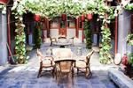 Three Legged Frog Hostel - Image 3