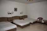 Three Legged Frog Hostel - Image 4