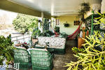 Green House Hostel - Image 9