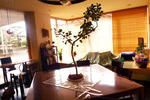 Sen Guesthouse - Image 10