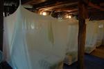 Magic Bacalar - Image 3